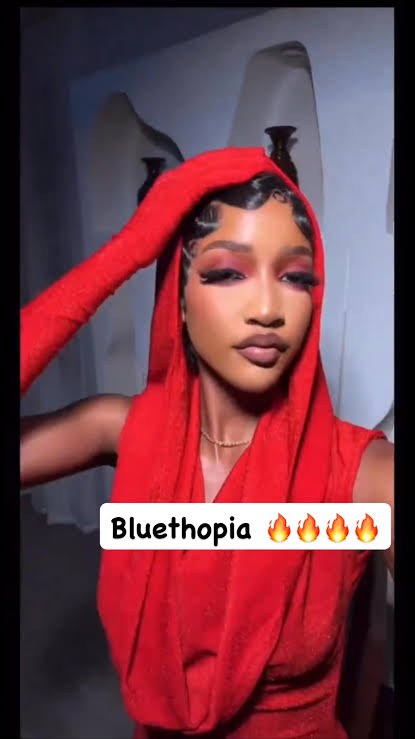 Bluethopia BBNaija Educational Background
